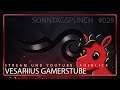 Vesariius Gamerstube - Stream und Youtube Ausblick - Sonntagspunch #029