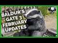 Baldur's Gate 3: February Updates (Patch 4: Nature's Power)