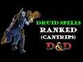 Druid spells ranked: Cantrips