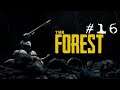 Forest w Berba part # 16 [Tower Complete]