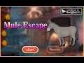 Mule Escape walkthrough AVMGames.
