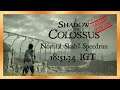 Normal Slash% Speedrun - 18:51.34 IGT - Shadow of the Colossus (Category Extension)