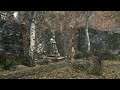SkyrimSE:  Ghost;  #33 Caught During The Job!