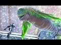 WE GO TO SPACE AND PLAY WITH THE DOLPHINS | ARK SURVIVAL EVOLVED: GENESIS PART2 [EP9]