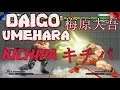 Daigo Umehara 梅原大吾 (Japan) vs Kichipa キチパ (Japan) SFV CE スト5 CE 스파5