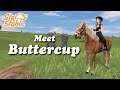 Meet Buttercup | Gotland Pony | SSO