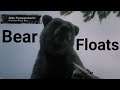 Bear Float - Red Dead Redemption 2