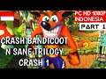 Crash Bandicoot N. Sane Trilogy Walkthrough Indonesia | Crash1 Part 1 | PC Gameplay
