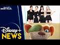 Major Disney+ Outage & The Ice Age Adventures Of Buck Wild Release Maybe Delayed | Disney Plus News