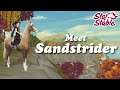 Meet Sandstrider | Marwari | SSO