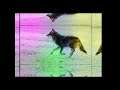 Moon AMV