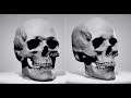 THERE ARE ONLY TWO TYPES OF SKULLS
