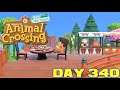 Animal Crossing: New Horizons Day 340