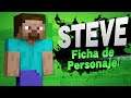STEVE ~ FICHA DE PERSONAJE | SUPER SMASH BROS