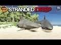 Double Shark Hunt | Stranded Deep Gameplay | S7 EP12