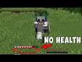 Minecraft, But We Can't See Our Health...