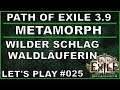 PATH OF EXILE Metamorph - Liga #025 Wilder Schlag Waldläuferin [ deutsch / german / POE ]