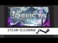 Steam Cleaning - Relicta