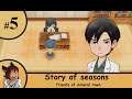Story of seasons friends of mineral town Ep5 A sketchy doctor? -Strife Plays
