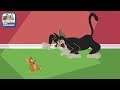 The Tom and Jerry Show: Chasing Jerry - Last One to Catch Jerry is a Rotten Egg (Boomerang Games)
