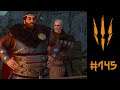 The Witcher 3: Wild Hunt | Let's Play | 145