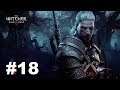 The Witcher III: Wild Hunt 18.rész: "A Hearts of Stone kiegészítő vége"