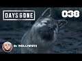 Days Gone #038 - Süßer Hund für Boozer [PS4] Let's play Days Gone