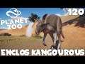 ENCLOS KANGOUROUS ROUX - PLANET ZOO #120 - royleviking [FR HD]