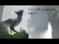 The Magic Of The Last Guardian Part 1 / KyloAnne