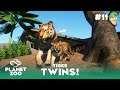 Tiger Twins & food - Ruhr Zoo - Planet Zoo Franchise Episode 11
