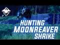 Dauntless - Moonreaver Shrike Hunt (S Grade)