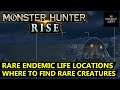 Monster Hunter Rise Rare Endemic Life Locations - ALL Areas