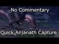 Monster Hunter World - Quick Anjanath Capture (No Commentary, Iceborne, Light Bowgun)