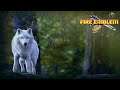 THE WHITE WOLF [Fire Emblem 7 Pro Walkthrough 2K] #32