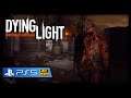 Dying Light - Gameplay - Harran - Angespielt 2/2 | Let`s Play PlayStation 5 / PS5 [4K HDR]