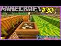 Let's Play Minecraft #30: Compost Bin!