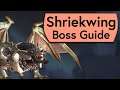 Shriekwing Raid Guide - Normal/Heroic Shriekwing Castle Nathria Boss Guide