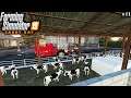'WE HEBBEN KALFJES!' Farming Simulator 19 Sandy Bay #17