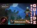 World of Warcraft Einsteigerguide 8.3 Wildheitsdruide