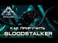 BLOODSTALKER (ПАУК) - КАК ПРИРУЧИТЬ - DLC Genesis - ARK: Survival Evolved - AVALON ARK