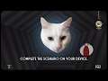 Bobcat In A Box 19: Remote Bobcats Part 9: Split The Room