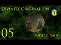 Divinity Original Sin 5: Undead Rain