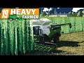 LS19 HeavyFarmer #66 - Die Hopfen Ernte - Landwirtschaft Simulator 19