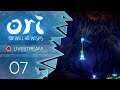 Ori and the Will of the Wisps [Blind/Livestream] - #07 - Versehentliche Lösung