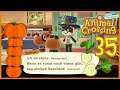 Rüben Flop und Kürbis Top! #35 🌴 Animal Crossing: New Horizons