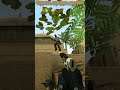 Курить вредно друзья #shorts  #gameplay #fun #cs #cs:go #css #cssv34 #counter
