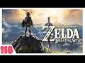 The Legend of Zelda : Breath of The Wild - Hyrule Castle |118