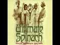 Ultimate Spinach - Mind Flowers Live at Boston (July 1967) 🇺🇸 Psychedelic Rock/Heavy Psych