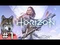 #1【Horizon Zero Dawn】狩猟ゲーをまったり初見プレイ！【complete edition】