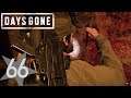 act 66「DAYS GONE」【TPS】辰砂